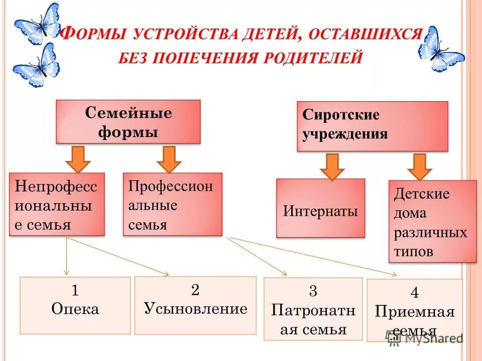 формы устройства детей оставшихся без попечения родителей. порядок выявления и учета детей оставшихся без родителей. временное устройство детей оставшихся без попечения родителей. временное устройство детей оставшихся без попечения родителей. временное устройство детей оставшихся без попечения родителей.