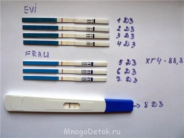 Какие тесты показывают до задержки месячных. Тест на беременность 1 и на 2 день задержки. Тест на беременность на 4 день задержки показывает беременность. Тест на беременность 1 день до задержки. Тесты на беременность за 3 дня до задержки месячных.