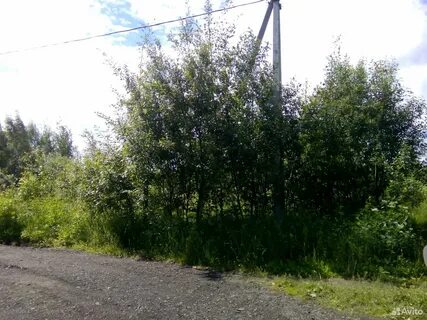 Погода мишнево щелковский