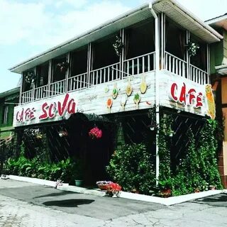 Кафе Сова, : цены и меню, адрес, фото - Poisk.bz