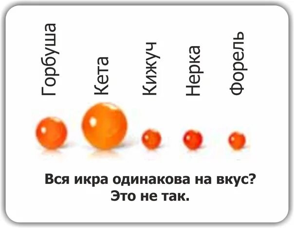 Сколько белка в красной икре. Мелкая красная икра какой рыбы. Икра горбуши вкус. Мелкая икра у кого. Красная икра по размерам от большого к маленькому.