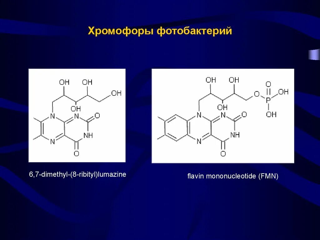 Хромофоры это. Хромофорные группы. хромофоры и ауксохромы. флавин мононуклеотид. хромофоры примеры.