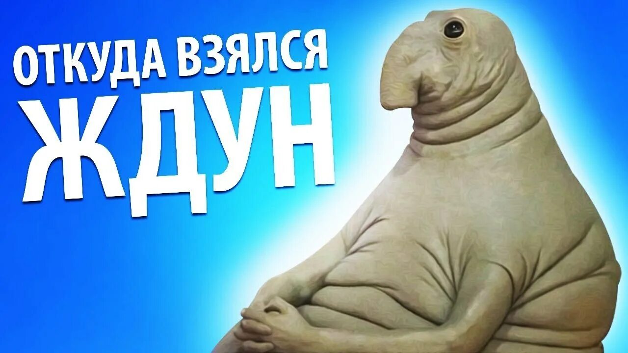 Где ждун. Ждун. Мемы 2017 Ждун. Ждун откуда взялся. Открытка Ждун.