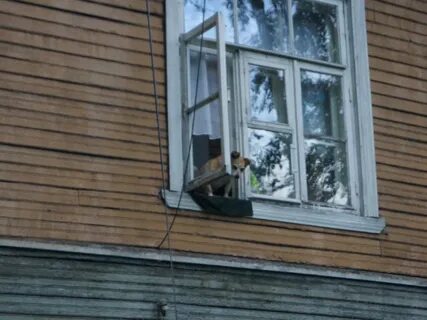 Капитальный ремонт архангельская область