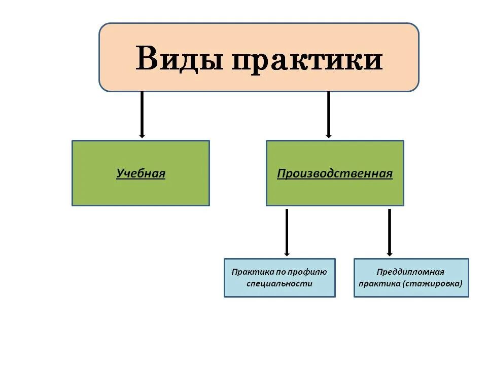 Вид практики и Тип практики. Вид практики и Тип практики разница. Тип практики у студентов. Виды практики студентов. Учебная практика тип практики