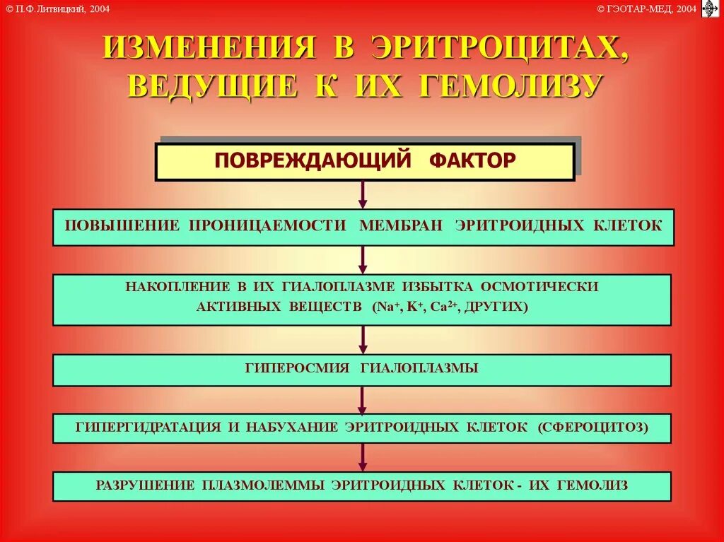 Факторы развития анемий. Механизм гемолитической анемии. Изменения в эритроцитах, ведущие к их гемолизу.. Литвицкий анемия. Рис. 21–7. изменения в эритроцитах, ведущие к их гемолизу..