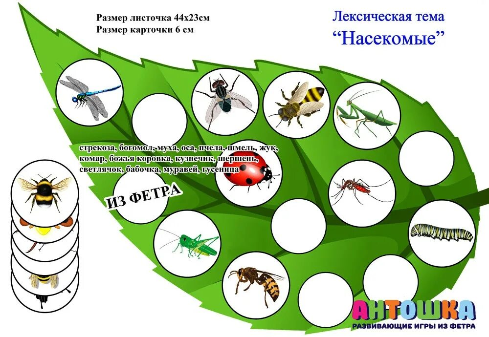 Насекомые задания для дошкольников. Игровой материал по теме насекомые. Задания для детей насекомые средняя группа. Занятия с детьми на тему насекомые.