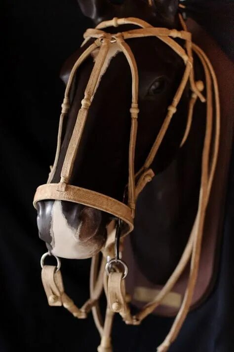 Showman Rawhide Braided Furturity Knot Headstall Set tack Headstall, Stitching l