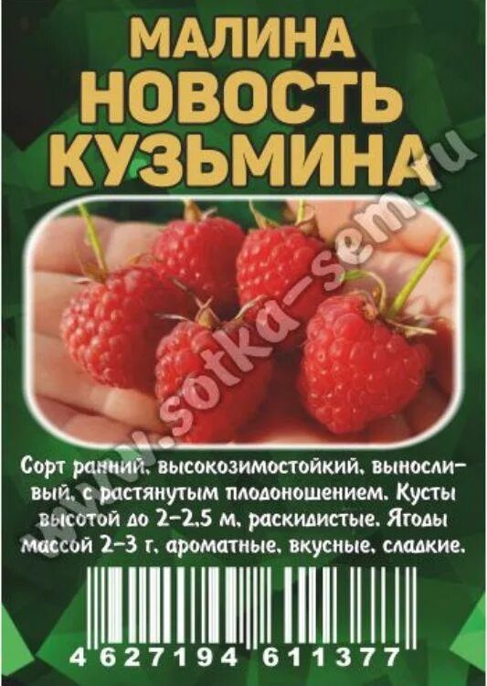 Сорт малины новость кузьмина отзывы. Малина новость Кузьмина. Малина новость Кузьмина описание сорта фото отзывы. Малина новость Кузьмина описание. Описание сорта малины новость Кузьмина фото отзывы сорт.