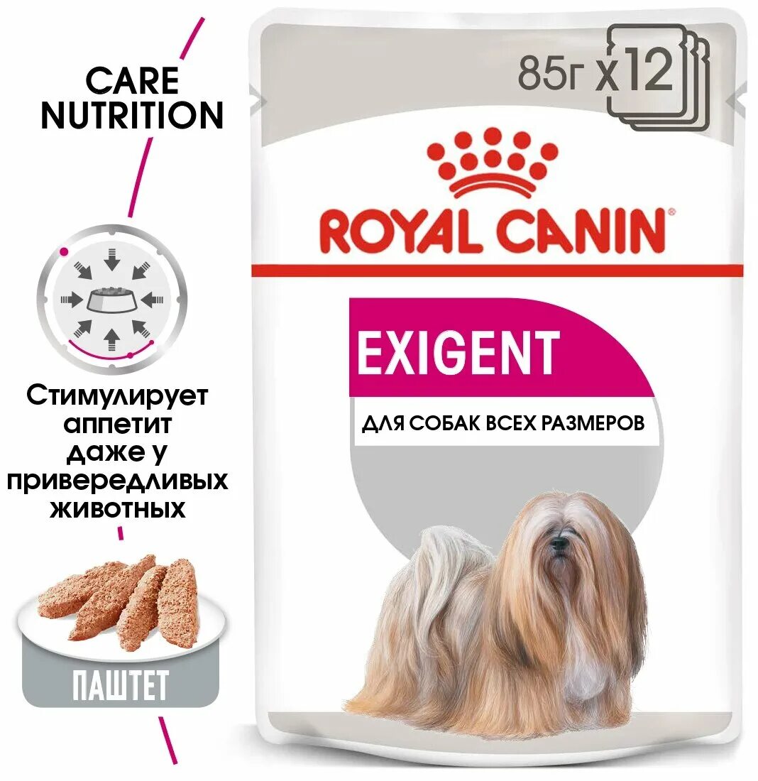 Влажный корм для собак роял. Роял Канин мини Эксиджент для собак. Royal Canin для щенков пауч. Роял Канин Экзиджент для собак. Royal Canin для привередливых собак.