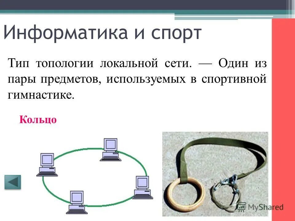 Урок биология информатика. Информатика в спорте. Информатика вопросы. Самый умный в информатике. Тема Информатика в спорте ..