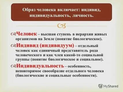 Сообщество понятие и определение