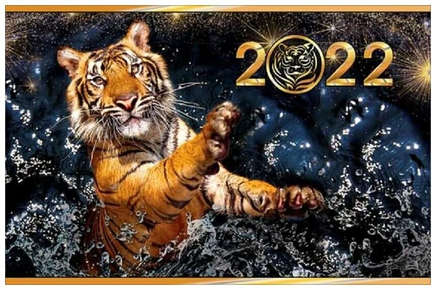 Новый 2022 год чёрного водяного тигра. Год тигра 2022. Новый год тигра 2022. Знак зодиака тигр. Год тигра 2026.