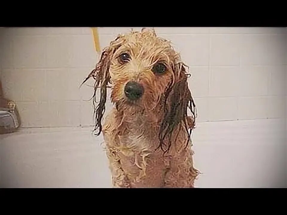 Are you done bathing