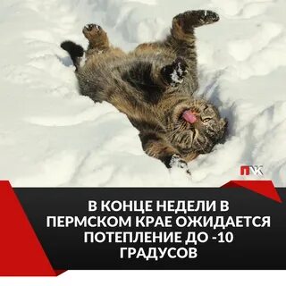 Когда потеплеет в пермском крае