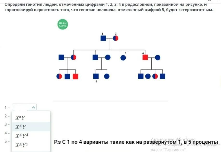 Отметь генотип