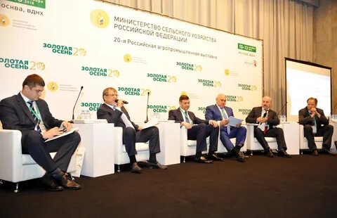 Золотая осень 2024 круглый стол