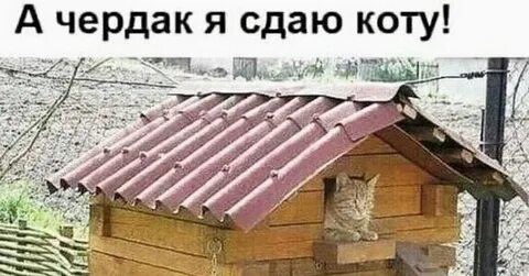 Чердак поехал