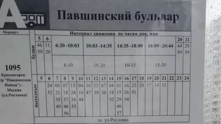 Расписание автобусов Ашан Красногорск Павшинская Пойма. Расписание автобусов Тушинская Ашан Красногорск. Расписание автобусов Ашан Павшинская Пойма. Павшинская Пойма Красногорск Ашан маршрутка.