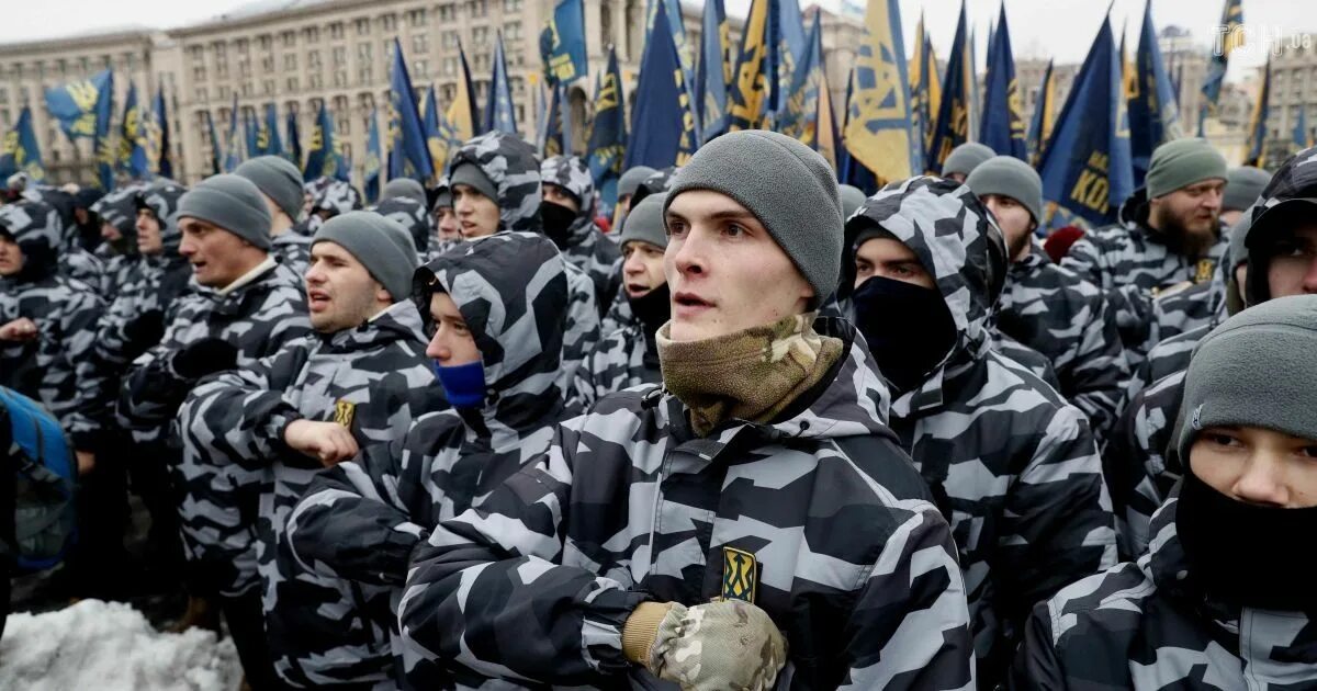 Нац корпус. Полк азов нацкорпус. Украинская националистическая партия. Нацкорпус украина. Национальный корпус.