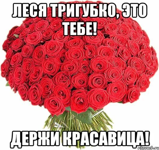 Розочка мем. Розочка мем. Розы мем. Мемы про розу. Любите розы.