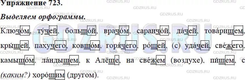 Русский язык 723 5 класс. Русский язык 5 класс ладыженская упражнение 723. Русский 5 класс 723 упражнение. Русский язык 5 класс 2 часть упр 723.