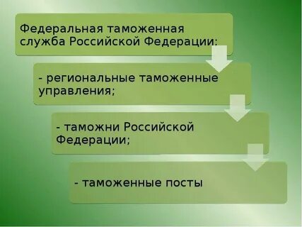Отделы фтс