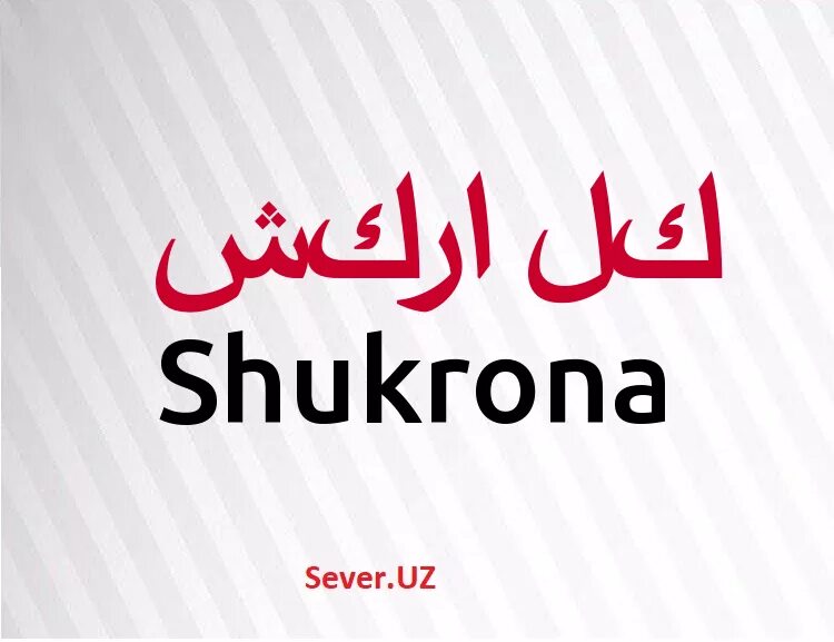 что означает имя шукрона. хаёт ва такдир. что означает имя шукрона. что означает имя шукрона. что означает имя шукрона.