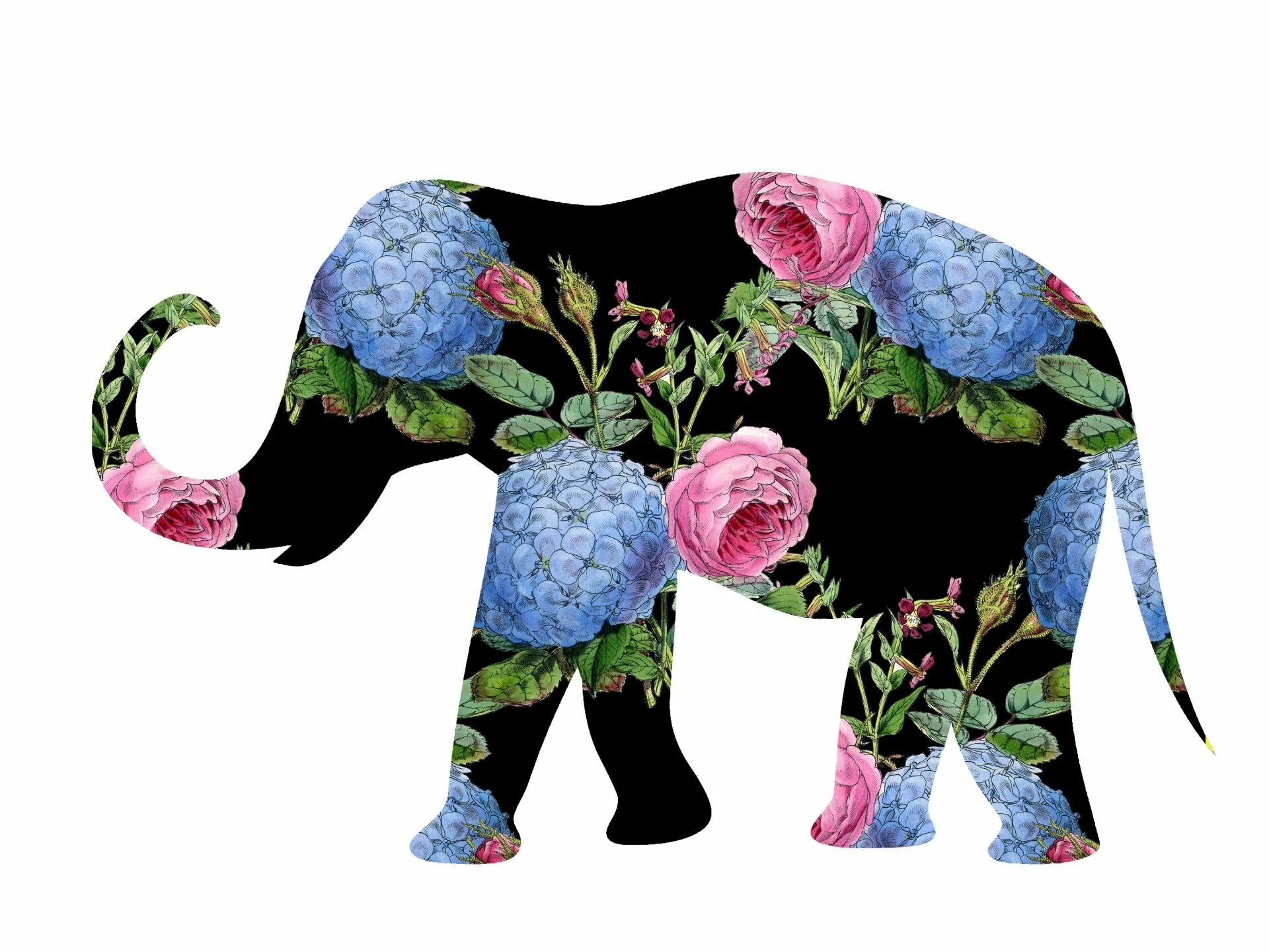Слоники цвета. Слон с цветами. Слоненок с цветами. Слон с цветочком. Слоник с цветочком.