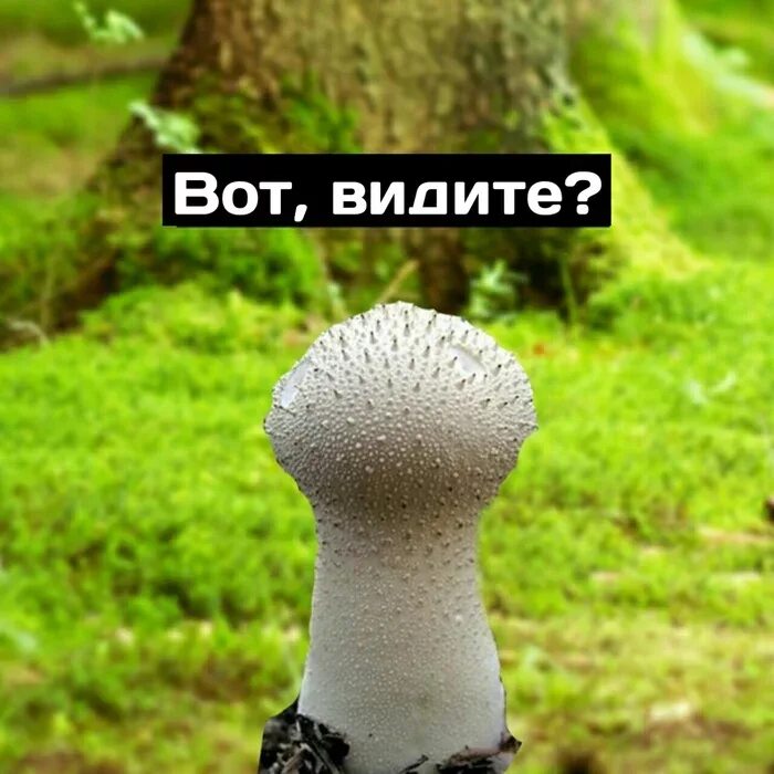 Get it wrong