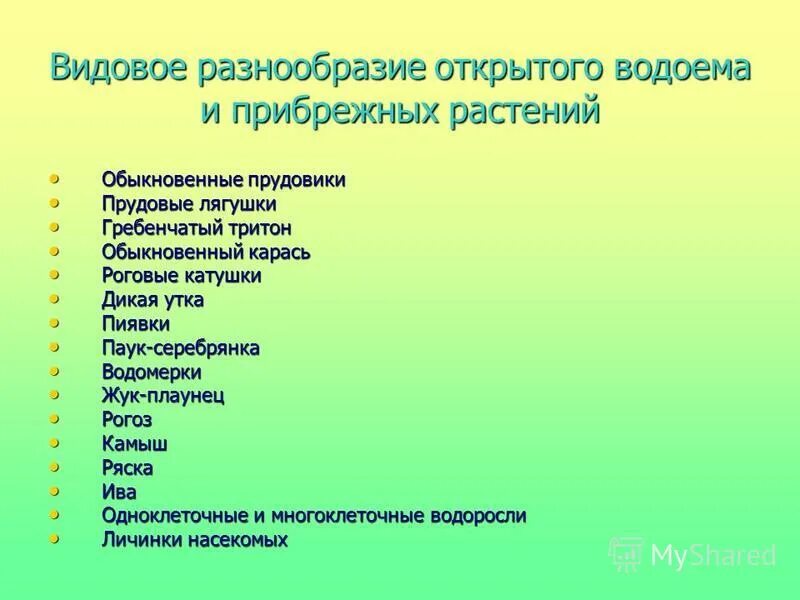 Открытое многообразие. Многообразие видов живых организмов. Открытое многообразие. Многообразие животных. Разнообразие зверей.