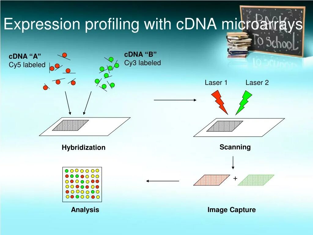 Microarray patch. Dna microarray. microarray. comparative genomic hybridization on microarray.