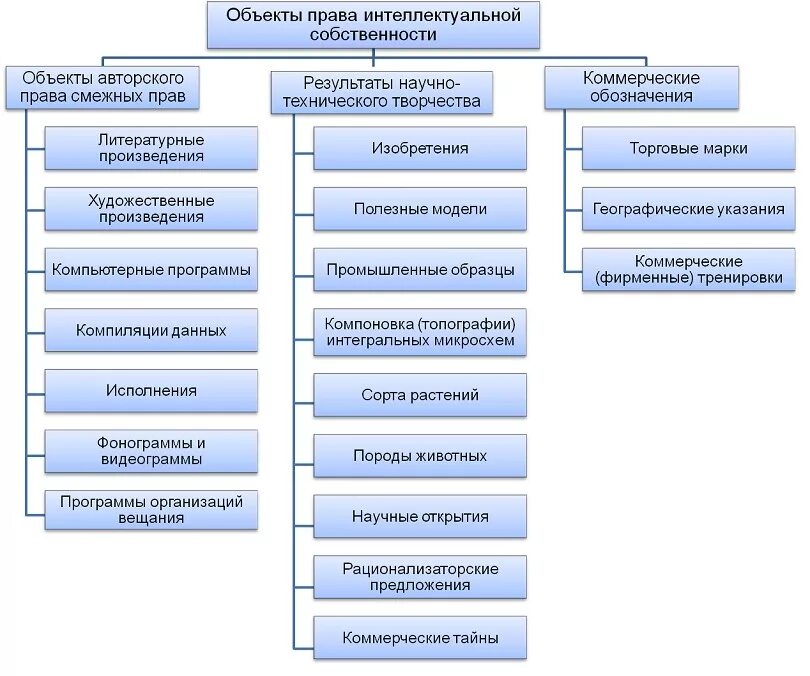 Другие объекты интеллектуальной собственности