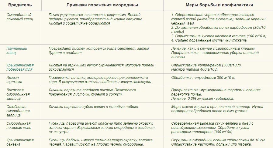 Каким препаратом обработать смородину. Календарь обработки смородины от вредителей и болезней. Защита смородины от вредителей и болезней. Обработка смородины от вредителей. Обработка от вредителей болезни смородина.