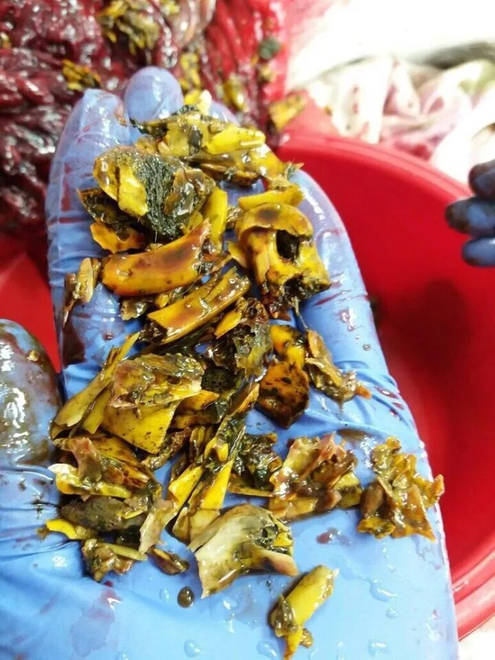 предметы извлеченные из желудка. строение пищеварительной системы собаки схема. кости в желудке собаки рентген. какие кости нельзя собакам. какие кости нельзя давать собакам.