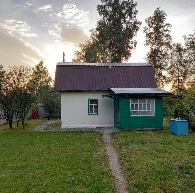 Снт кедр колыванский. Снт кедр новосибирск. кедр первомайский район. снт кедр первомайский район. снт кедр новосибирск первомайский район.