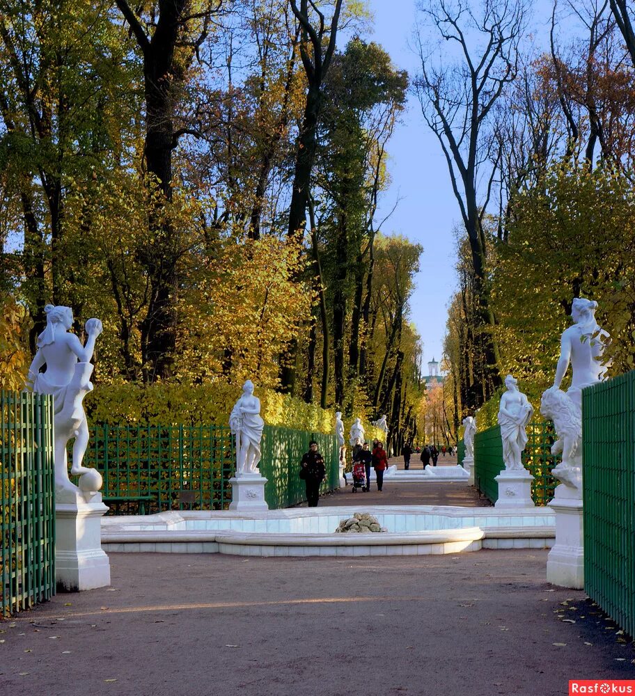 Летний сад осенью. Летний сад в Санкт-Петербурге осенью. Летний сад в Санкт-Петербурге биоеь. Санкт-Петербург летний сад аллеи осенью. Летний сад парк осенью.