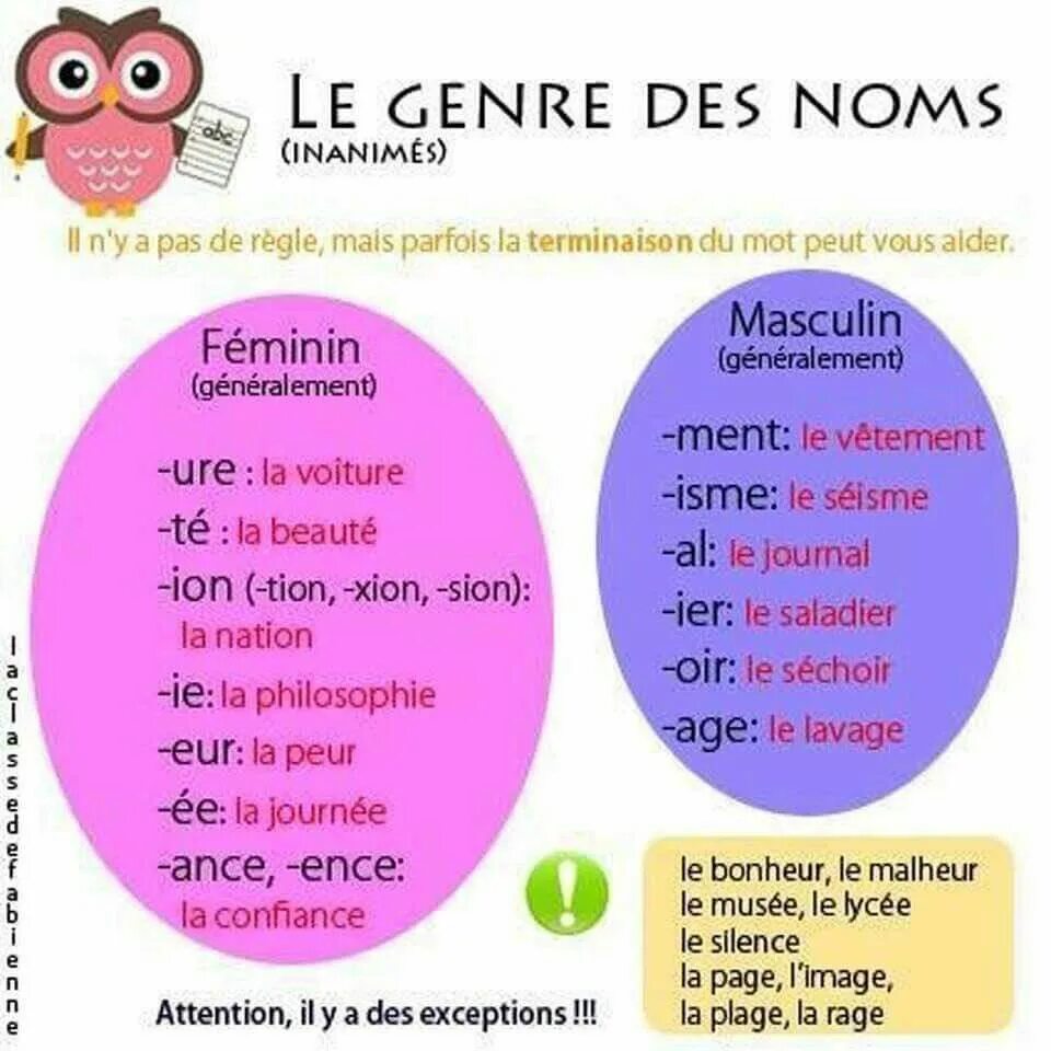 Род имен существительных во французском языке. Роды существительных во французском языке. Существительные во французском языке мужского и женского рода. Мужской и женский род существительных во французском.