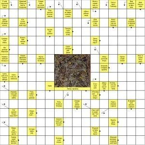 Сканворд аиф номер 10 2024 год