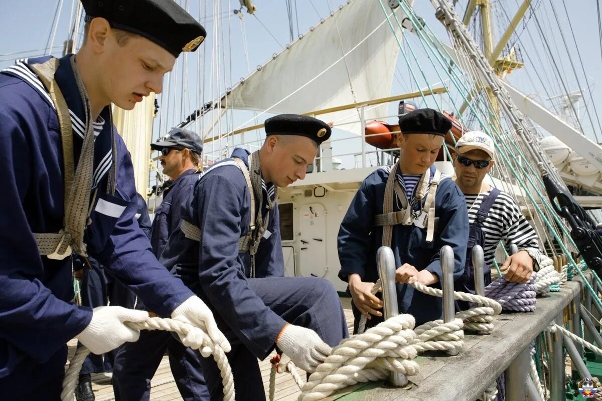 Матросы на корабле. Матросы на палубе. Моряки на палубе. Профессии моряков на корабле. Почти флот