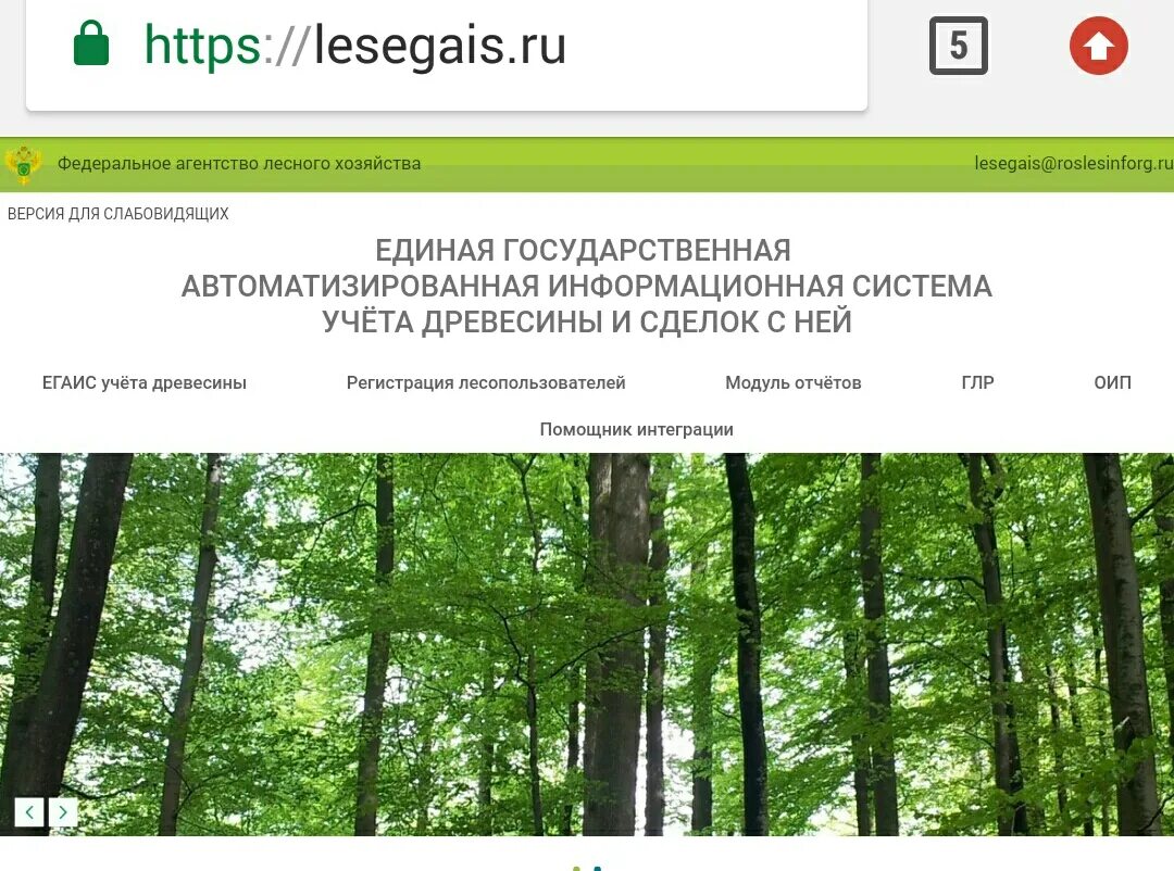 Техподдержка лесегаис. Лесегаис учет древесины. Служба поддержки егаис. Система егаис учет пиломатериалов. Егаис техподдержка.