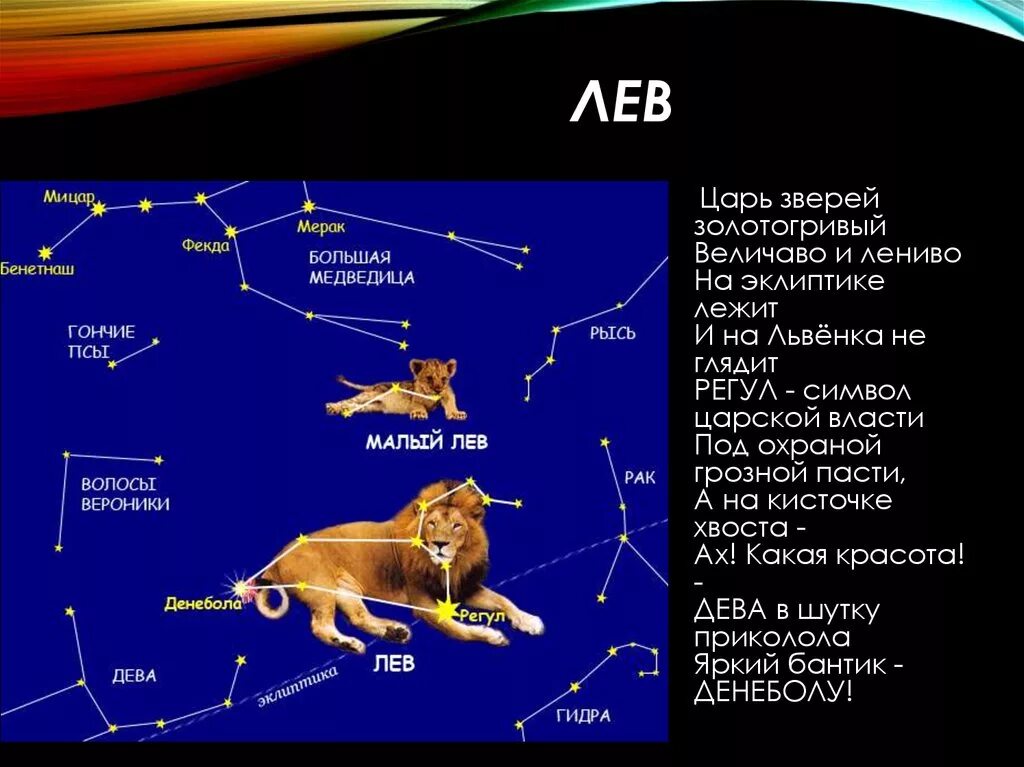 Почему созвездие лев. Созвездие Льва доклад. Созвездие Льва 2 класс. Малый Лев Созвездие интересные факты. Созвездия зодиака Лев.