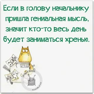Смешные фразы про работу