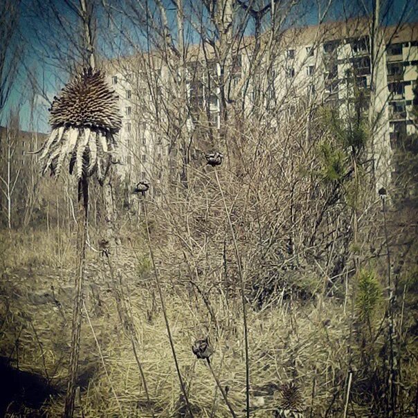 Chernobyl anomaly. Припять ЧАЭС 2021. Припять 2022. Эмчеес Чернобыль.
