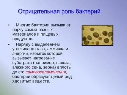 Отрицательная роль почвенных бактерий