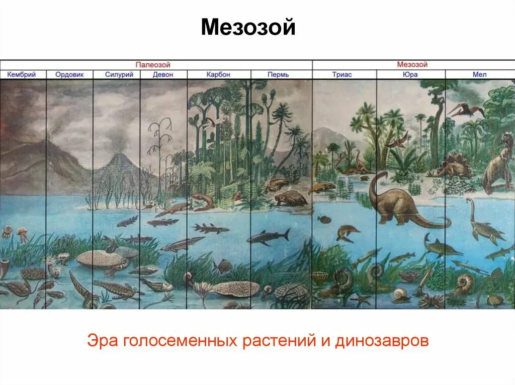 Палеозой 2 мезозой. Фанерозой мезозой. девон период палеозойской эры. эры мезозой палеозой. палеозойская эра и мезозойская эра.