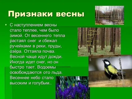 План ответа как преображается природа весной
