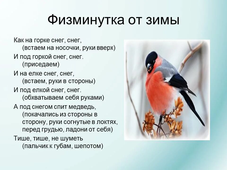 Под горкой снег снег. Физминутка как на Горке снег. Физминутка про снегиря для детей. Физминутки про зимующих птиц. Физминутки про зиму.