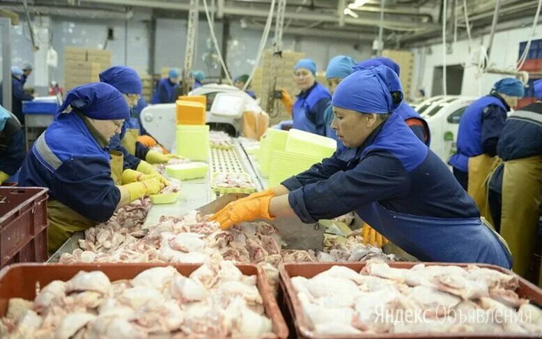 вахтовый метод работы. требуются разнорабочие. вахта в москве. свежие вакансии тюмень с проживанием. работа в москве вакансии.