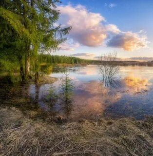 Вода весной